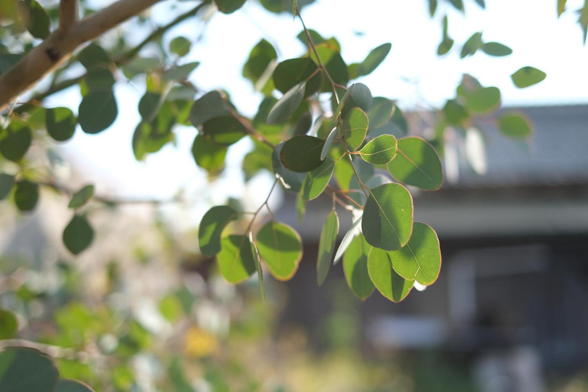 Lemon Tree Hotel Megijima 外观 照片